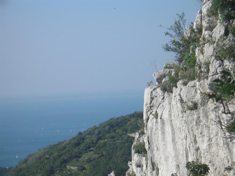 Trieste il giorno della Barcolana